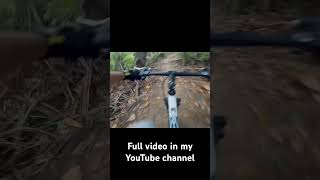 Mountain bike in Cerro Gordo Vega Alta PR puertorico mountainbike bicycle gopro nature pr [upl. by Adabel]