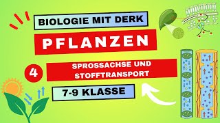 Pflanzen  4  Sprossachse und Stofftransport  7  9 Klasse [upl. by Allicirp864]