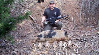 2015 Spotted Hog Thermal Hunt 170 Yards  Capre Sus [upl. by Greta]