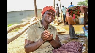 Health risks amp challenges faced by Artisanal SmallScale Miners in the Kenyan mining sector [upl. by Woo362]