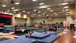 Level 9 Think Pink Invitational Beam [upl. by Eahs142]