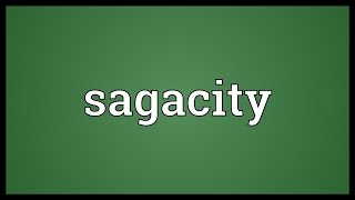 Sagacity Meaning [upl. by Mayhew]