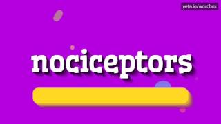 NOCICEPTORS  HOW TO PRONOUNCE IT [upl. by Leirbma231]