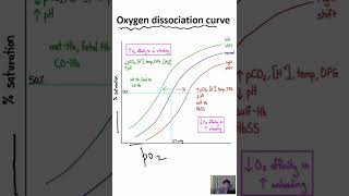 Oxygen dissociation curve factors affecting Oxygen dissociation curve [upl. by Mall]