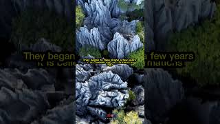 THE ENIGMA OF THE IMPRESSIVE Tsingy de Bemaraha  The Most MYSTERIOUS Stone Forest in the World [upl. by Switzer]