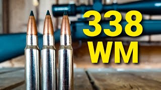 338 Win Mag is a BEAST 💪💪 [upl. by Subir]