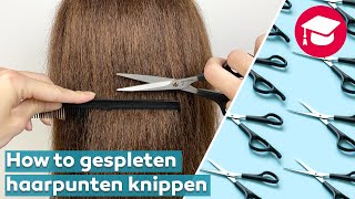 Tutorial gespleten haarpunten knippen  NHA Opleidingen [upl. by Anilah304]