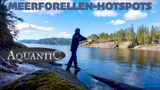 Jagd auf MeerforellenHotspots  Angeln in Norwegen mit AQUANTIC [upl. by Alehs]