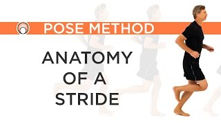 Improve your Running Form  Anatomy of a Stride [upl. by Eceinehs]