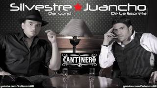 Silvestre Dangond  Cantinero Con Letra  Vallenato 2010 [upl. by Rephotsirhc]