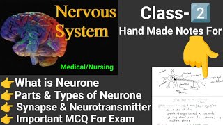 Neuron Synapse neurotransmitter Nerve system CNS PNS ANS online classes [upl. by Harrod]