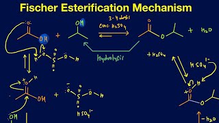 Fischer Esterification mechanism Synthesis of ester from acid and alcohol with mechanism [upl. by Gaye]