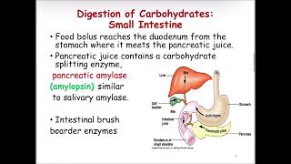 Carbohydrate digestion and absorptionclinical manifestationGIT biochemistry [upl. by Dloniger160]