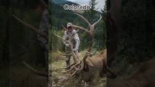 Biggest elk shot In each state pt3 hunting elk elkhunting outdoors [upl. by Ecaroh]