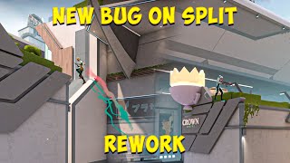 NEW Split Needs REWORK 2024 [upl. by Leoy]