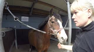 Vlog 12 Hippisch Centrum Hoeksche Waard [upl. by Brufsky]