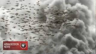 Trumpet 5  Stinging Locust Attack  AbaddonApollyon  Armageddon News [upl. by Eelik]