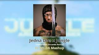 Yzomandias  Jedna Dva x Jungle Arcando Remix DJ WLDA Mashup [upl. by Alistair]