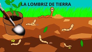 LA LOMBRIZ DE TIERRA PARA NIÑOS LA LOMBRIZ TODO SOBRE LA LOMBRIZ DE TIERRA EN ESPAÑOL PARA NIÑOS [upl. by Easlehc]