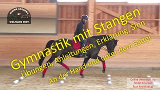 S11 Stangenarbeit an der Hand und unter dem Sattel Abstände Linien Übungen Gymnastik für Pferde [upl. by Augie]