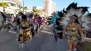 Antofagasta Tobas Carnaval de los Colores 2024 [upl. by Akkinahs737]