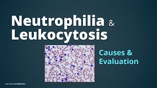 Neutrophilia amp Leukocytosis  Pathophysiology of Leukocytosis Causes amp Evaluation [upl. by Einal271]