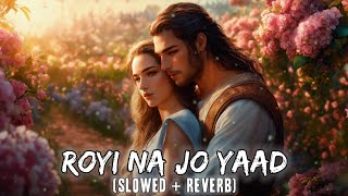 Royi Na Jo Yaad Meri Aayi Ve Slowed amp Reverb  LOFI 2112  USE HEADPHONES [upl. by Ramsa]