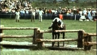 1978 World Eventing Championships  Lexington Kentucky PART 2 [upl. by Cailean940]