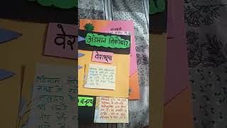 project on Andaman and Nicobar Island in Hindi [upl. by Ylnevaeh]