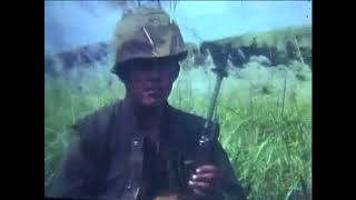 US Marines in Vietnam 1966 [upl. by Barbey]