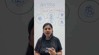 Amitosis  Direct Cell Division  Cell Cycle amp Cell Division  Class 11 Biology NEET amitosis neet [upl. by Ylrahc188]