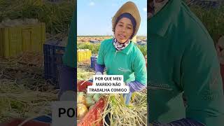 Assista até o final agro vidanaroça colheita [upl. by Eninej]