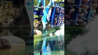 💦 Manta  SeaWorld Orlando rollercoaster themepark seaworld [upl. by Eselehs]