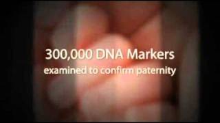 Prenatal Paternity Test in Australia  Accurate and 100 Safe [upl. by Eejan]