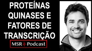 O Que São Proteínas Quinases e Fatores de Transcrição  Aula 14 [upl. by Simah]