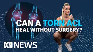 Can a torn ACL heal itself without surgery  ABC News [upl. by Kasper672]