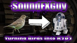 Turning Birds into R2D2 [upl. by Toni]