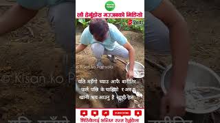 Chyau falyo bari bhari agriculture machinery amazingfacts [upl. by Cappella628]