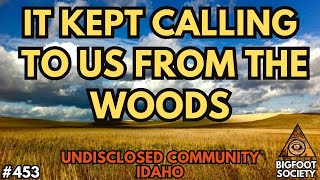 We were being LURED into the Woods  Bigfoot Society 453 [upl. by Sew]