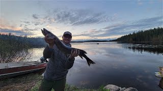 Cabin Adventures Episode 25 Part 2  Air Ivanhoe  Paul Lake Fly In Fishing for Pike and Walleye [upl. by Ardnos]