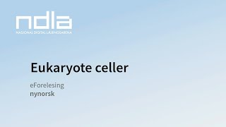 Eukaryote celler [upl. by Odrareve]