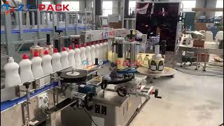 100ml  1000ml Auto Dishwashing Liquid Soap Filling Machine For Home Cleaning Chemicals Packing Line [upl. by Sergu270]