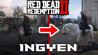 A LEGJOBB LÓ Hogyan szerezd meg az egyik legjobb lovat INGYEN  Red Dead Redemption 2 [upl. by Annaor]