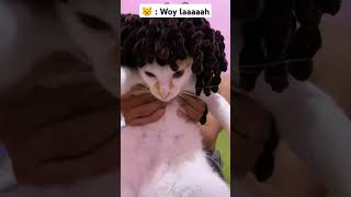 Cicak cicak di dinding  Vadel fyp shortvideo cicakcicakdidinding vadel cat [upl. by Regdor]