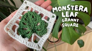 🌿 MONSTERA LEAF GRANNY SQUARE  beginner friendly pattern [upl. by Havstad]