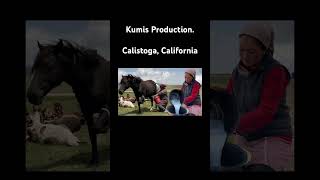 Footage of a Kumis Farm in Calistoga May 16th history historicphotographs photography kumis [upl. by Stanly193]