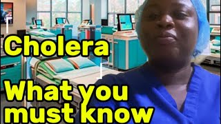 Cholera in Nigeria what you must know cholera outbreak [upl. by Ahkihs]