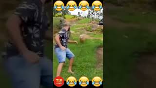 Wee Meme TikTok Compilation The End😂😂😂😂 shorts [upl. by Elocal]