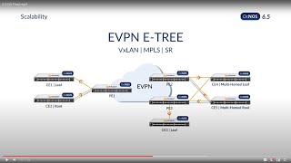 IP Infusion OcNOS v65 General Availability [upl. by Caressa727]