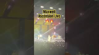 Ascension Maxwell live 2024 shorts maxwell rnb [upl. by Ocnarf60]